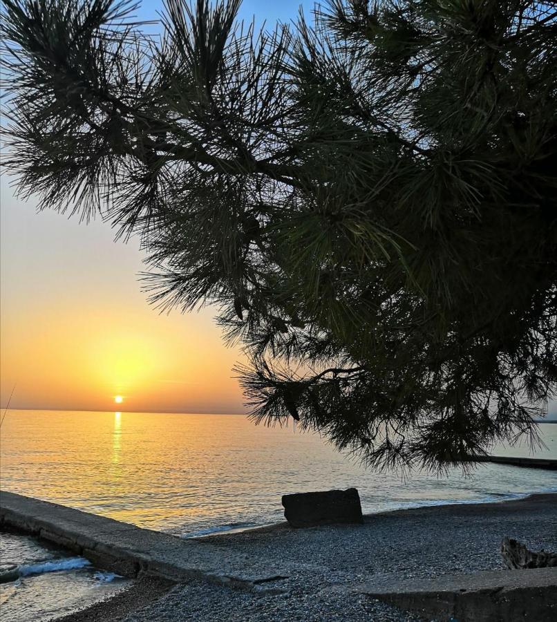 Мир Oçamçıra Dış mekan fotoğraf